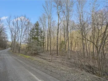 Property at L32.06 Eggleston Hill Road, Middlefield, NY 13326