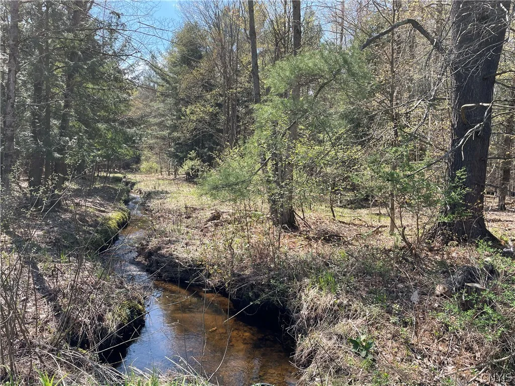 Property at 0 Pine Grove Road, Greig, NY 13345