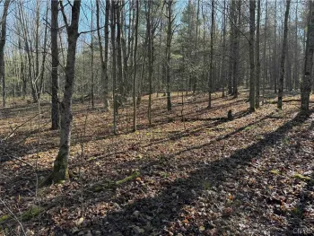 Property at 00 Neu Road, Dansville, NY 14807
