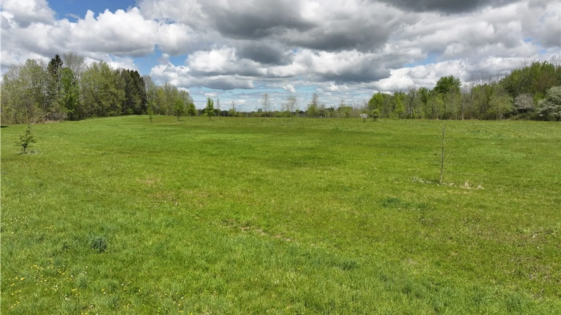 Property at 367 State Route 264, Schroeppel, NY 13135 3