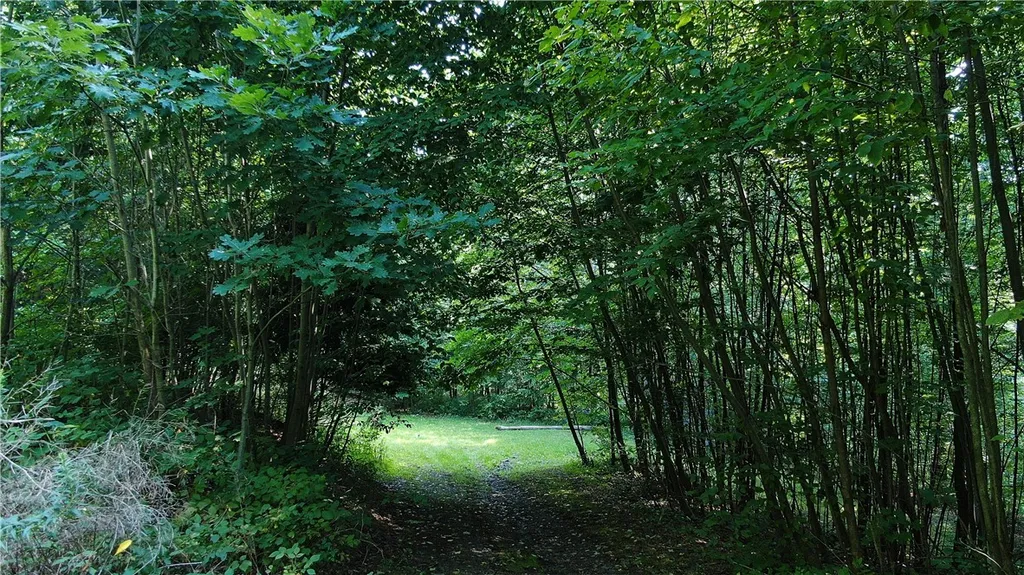 Property at 1272 Pine Hill Road, Masonville, NY 13804
