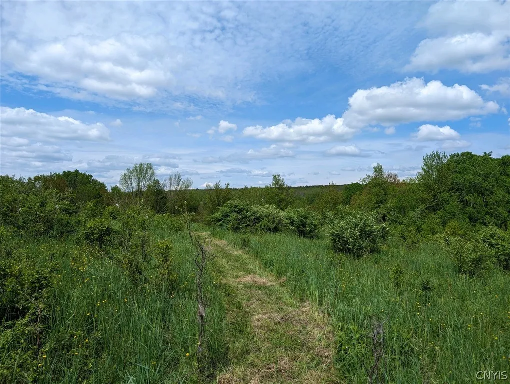Property at L15 Westdale Road, Florence, NY 13316