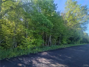 Property at 00 Peth Road, Summerhill, NY 13045