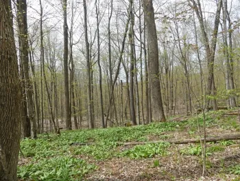 Property at Lot 26 Timberland Drive, Andes, NY 13731