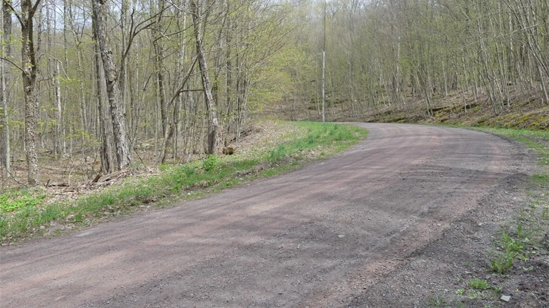 Property at Lot 26 Timberland Drive, Andes, NY 13731 6