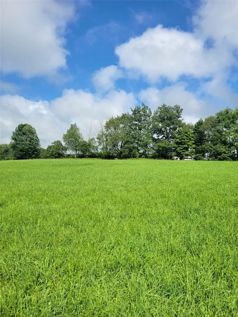 Property at L 5.14 Mumbulo Road, Pittsfield, NY 13335