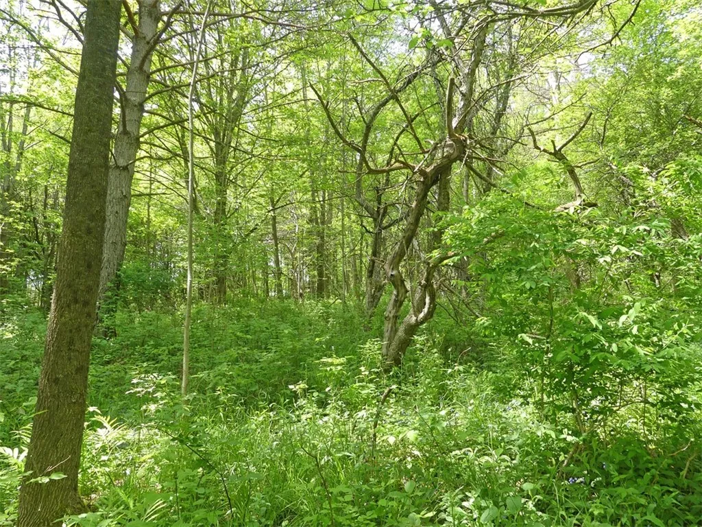 Property at Lot 19 Orchard Lane, Bovina, NY 13740