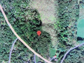 Property at 0 Rt-41, Willet, NY 13863
