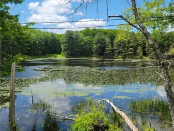 Property at Lot# 5 County Route 13, Pittsfield, NY 13411