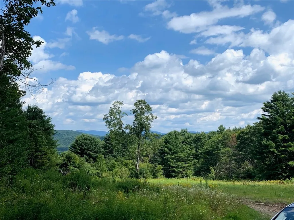 Property at 0 Huntley Hollow Road, Colchester, NY 13755