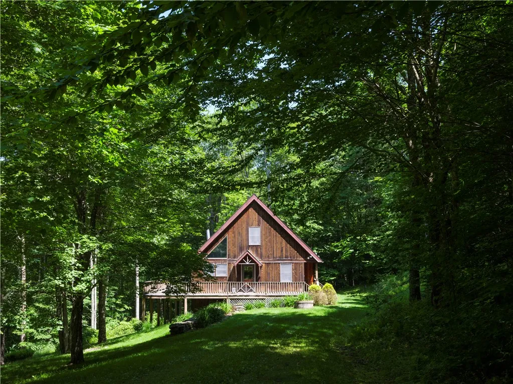 Property at 165 Alpine Drive, Bovina, NY 13731