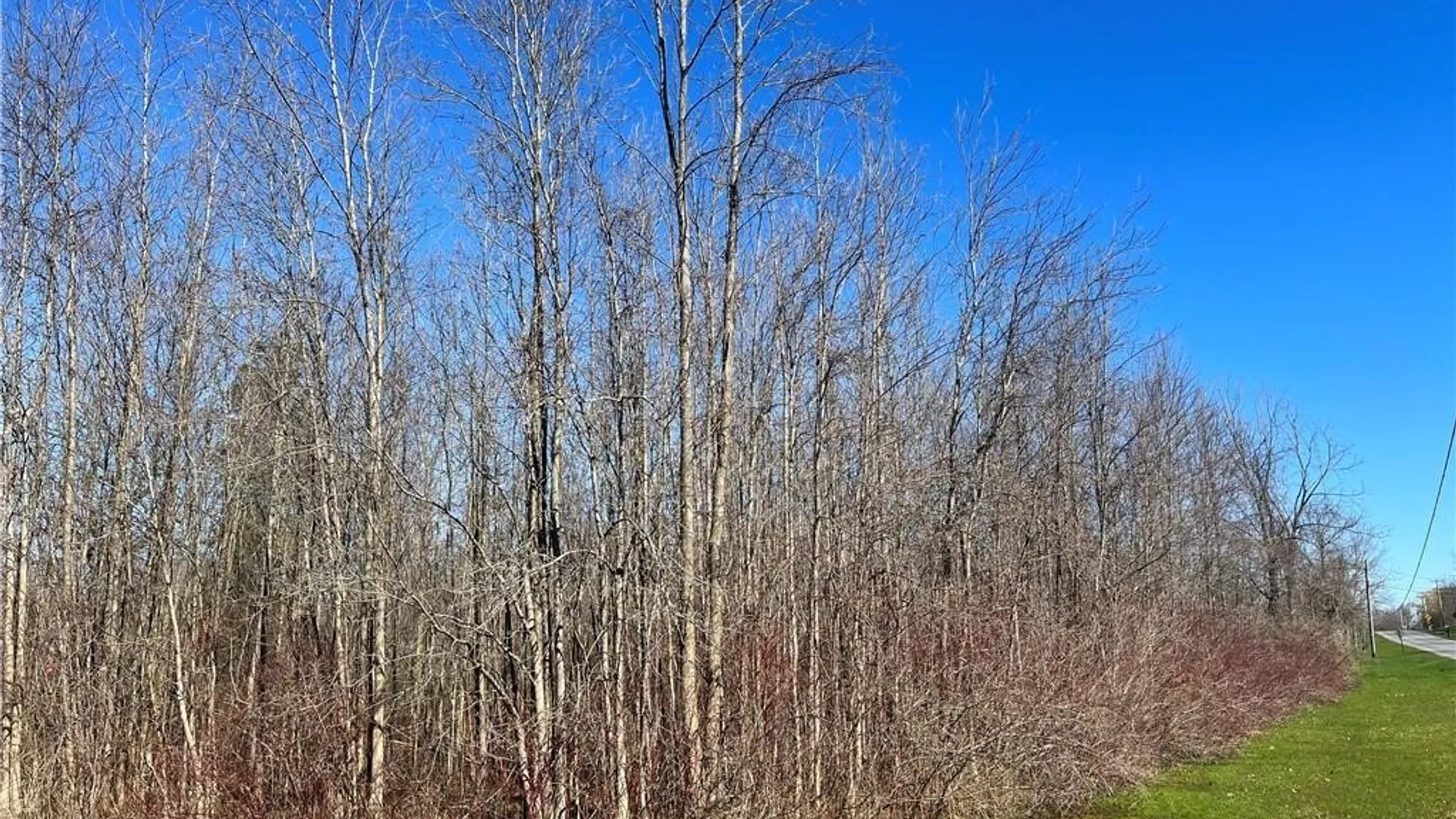 Property at 0 W Lake Road, Oswego, NY 13126 3
