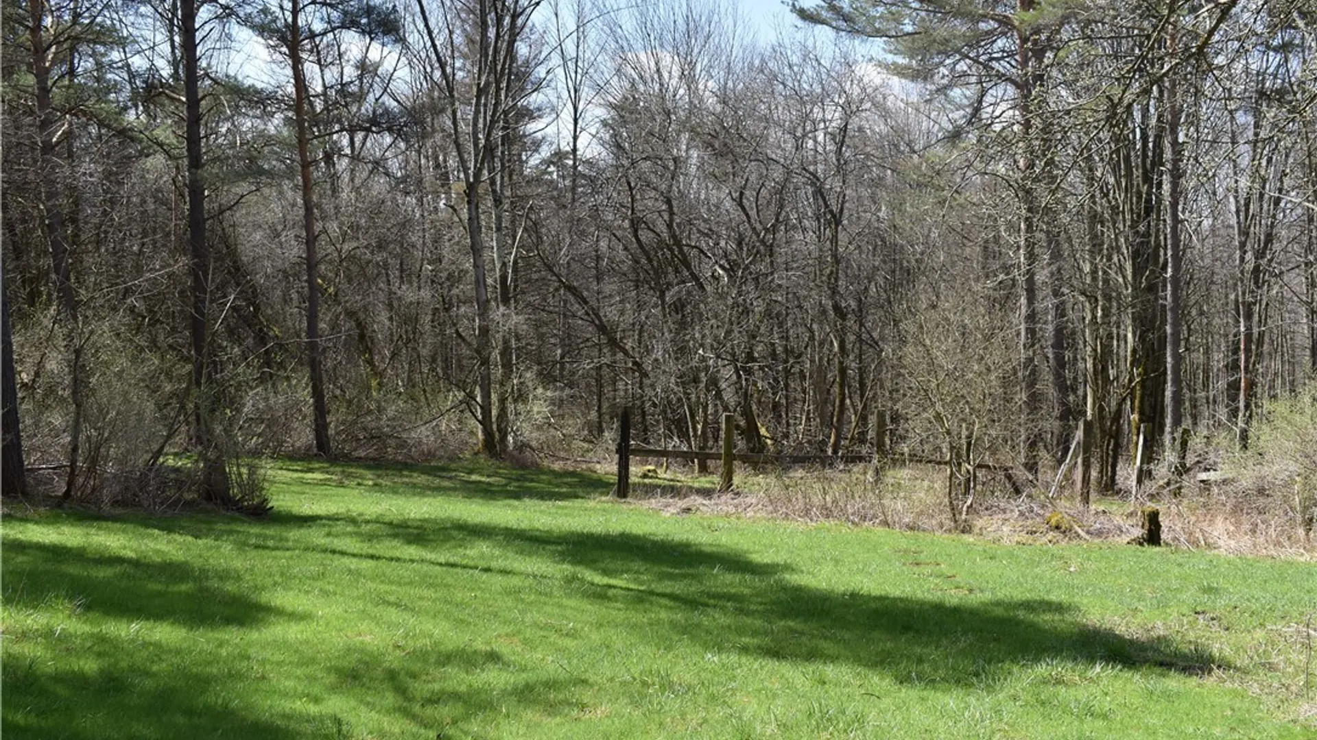 Property at 2780 Buffalo Road, Orangeville, NY 14167 38