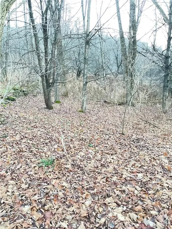 Property at L35 State Highway 165, Roseboom, NY 13450