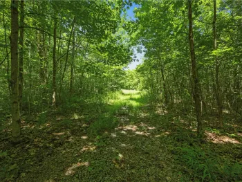 Property at L9 Winegard Road, Seward, NY 12149