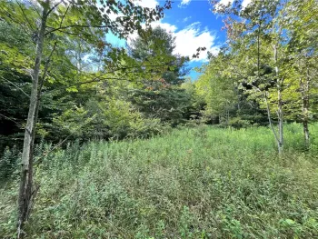 Property at Lot 3 Greenbush Road, Erin, NY 14838