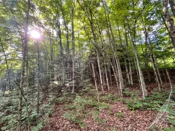 Property at Lot 4 Greenbush Road, Erin, NY 14838
