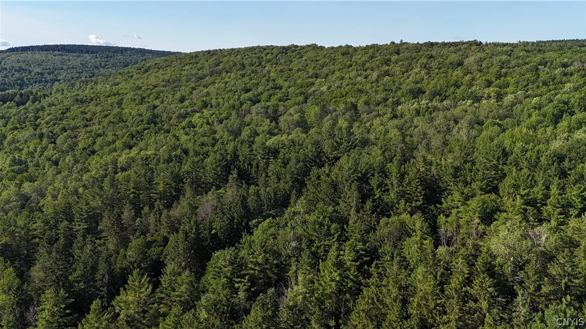 Property at 1214 State Route 80, Georgetown, NY 13072 8