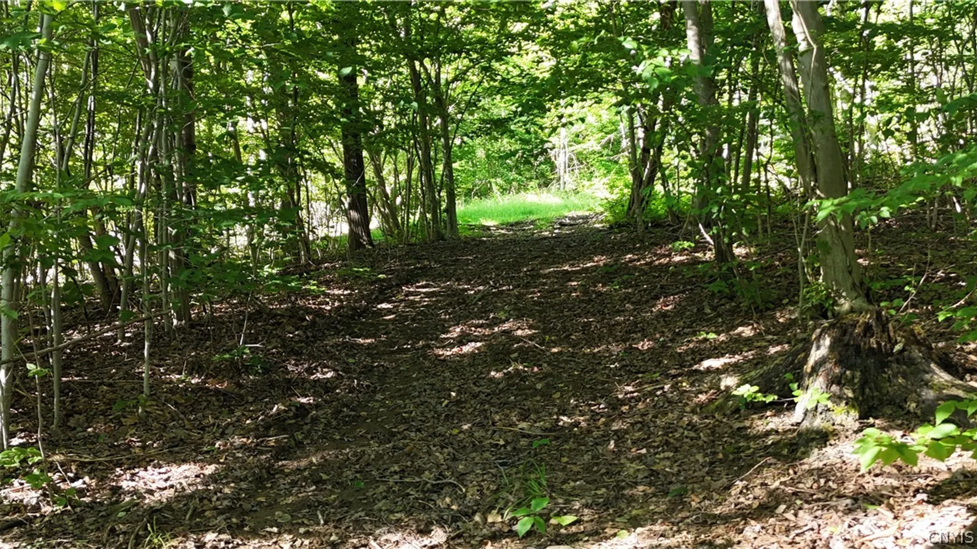 Property at 1214 State Route 80, Georgetown, NY 13072 9