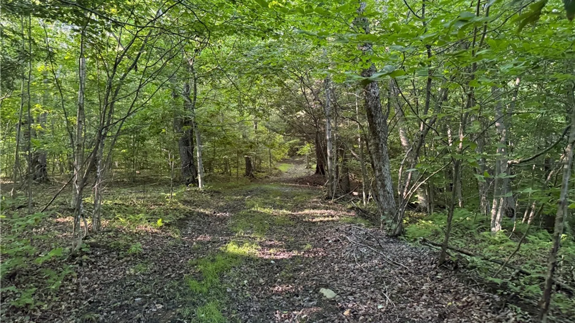 Property at 1214 State Route 80, Georgetown, NY 13072 34