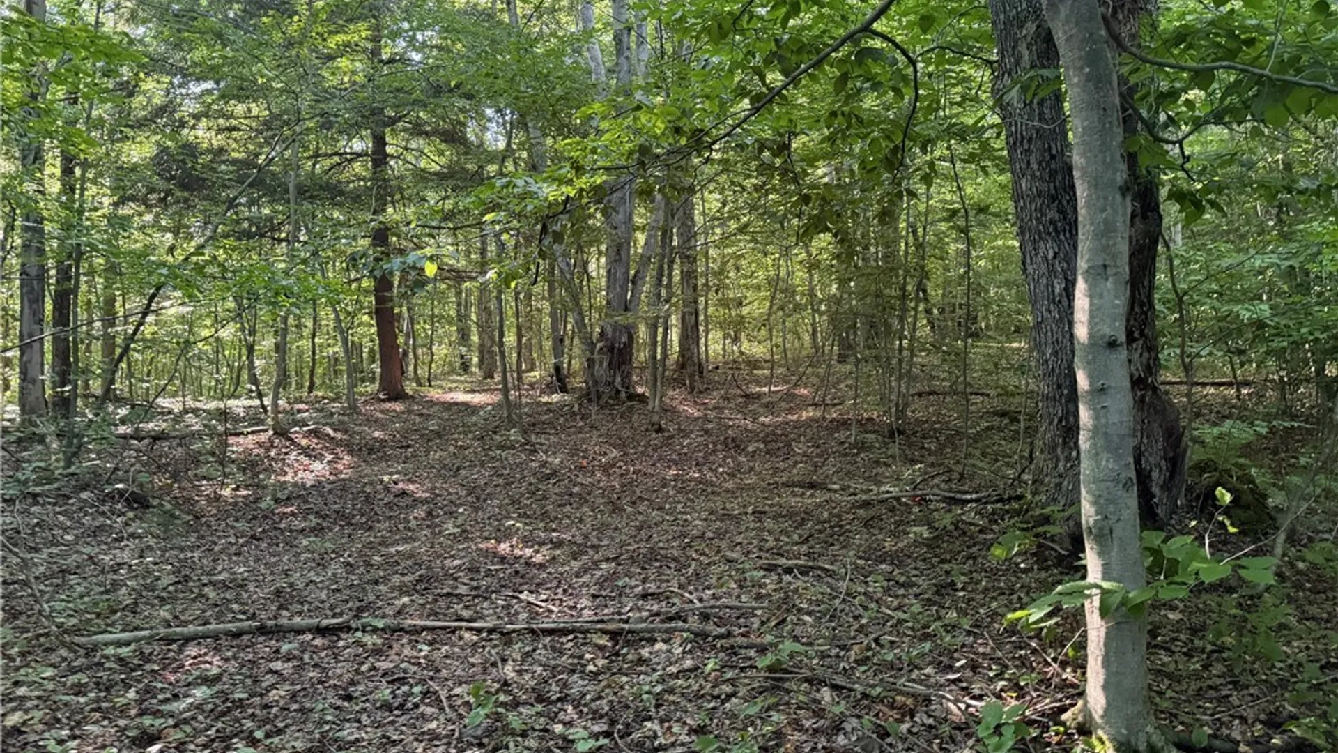 Property at 1214 State Route 80, Georgetown, NY 13072 37