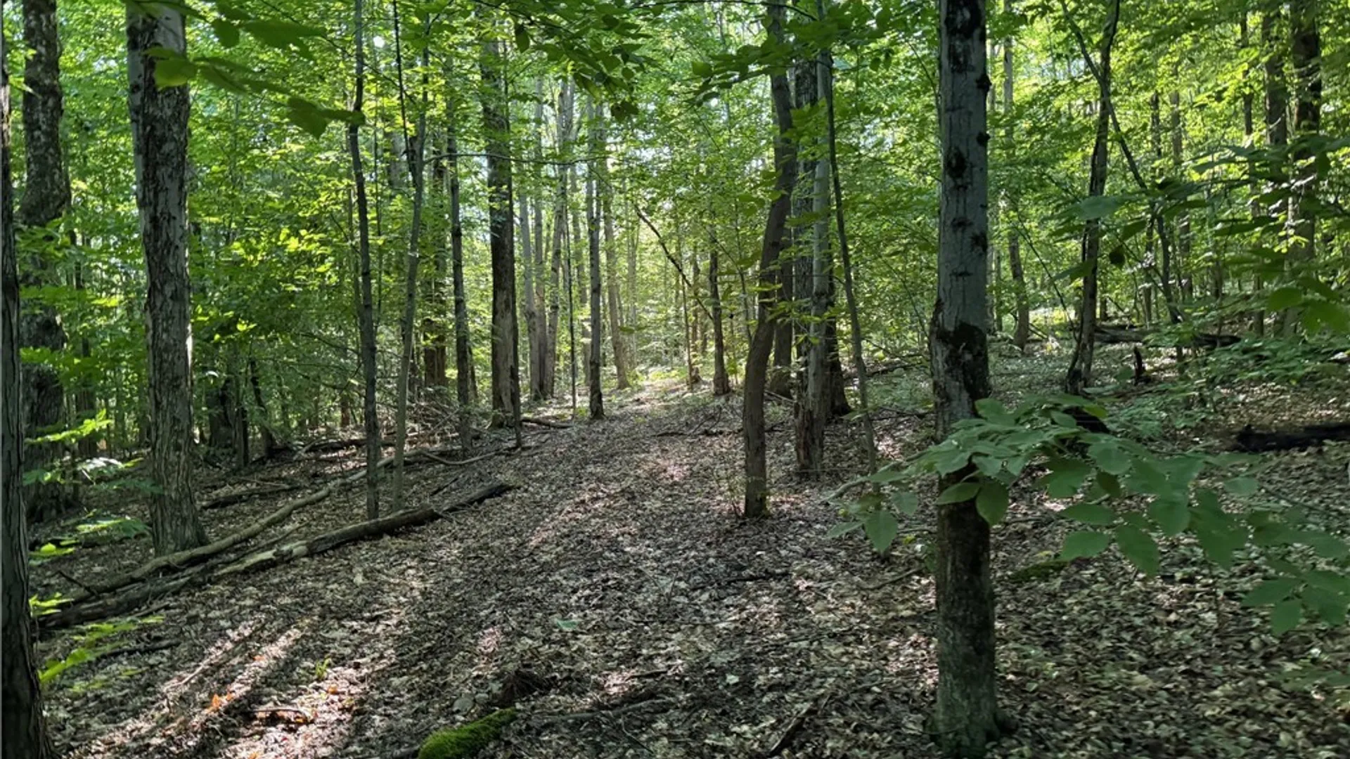 Property at 1214 State Route 80, Georgetown, NY 13072 38