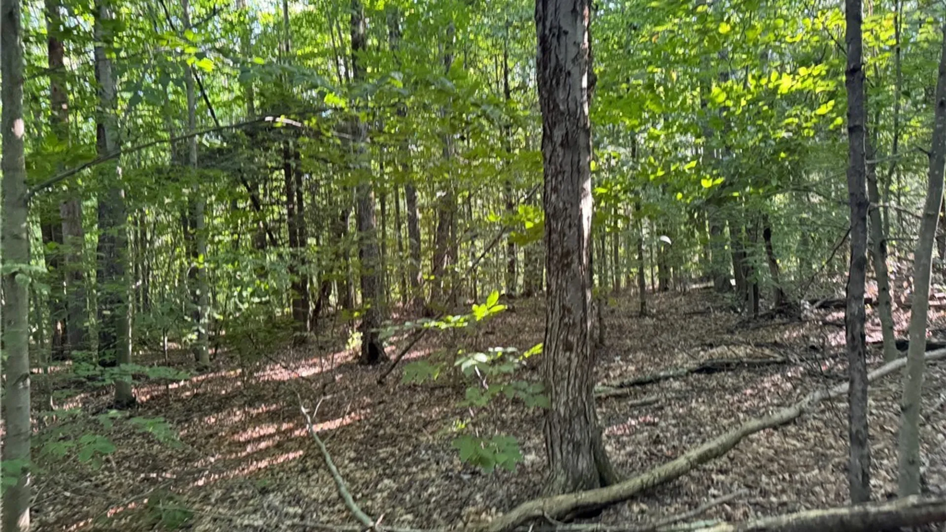 Property at 1214 State Route 80, Georgetown, NY 13072 39
