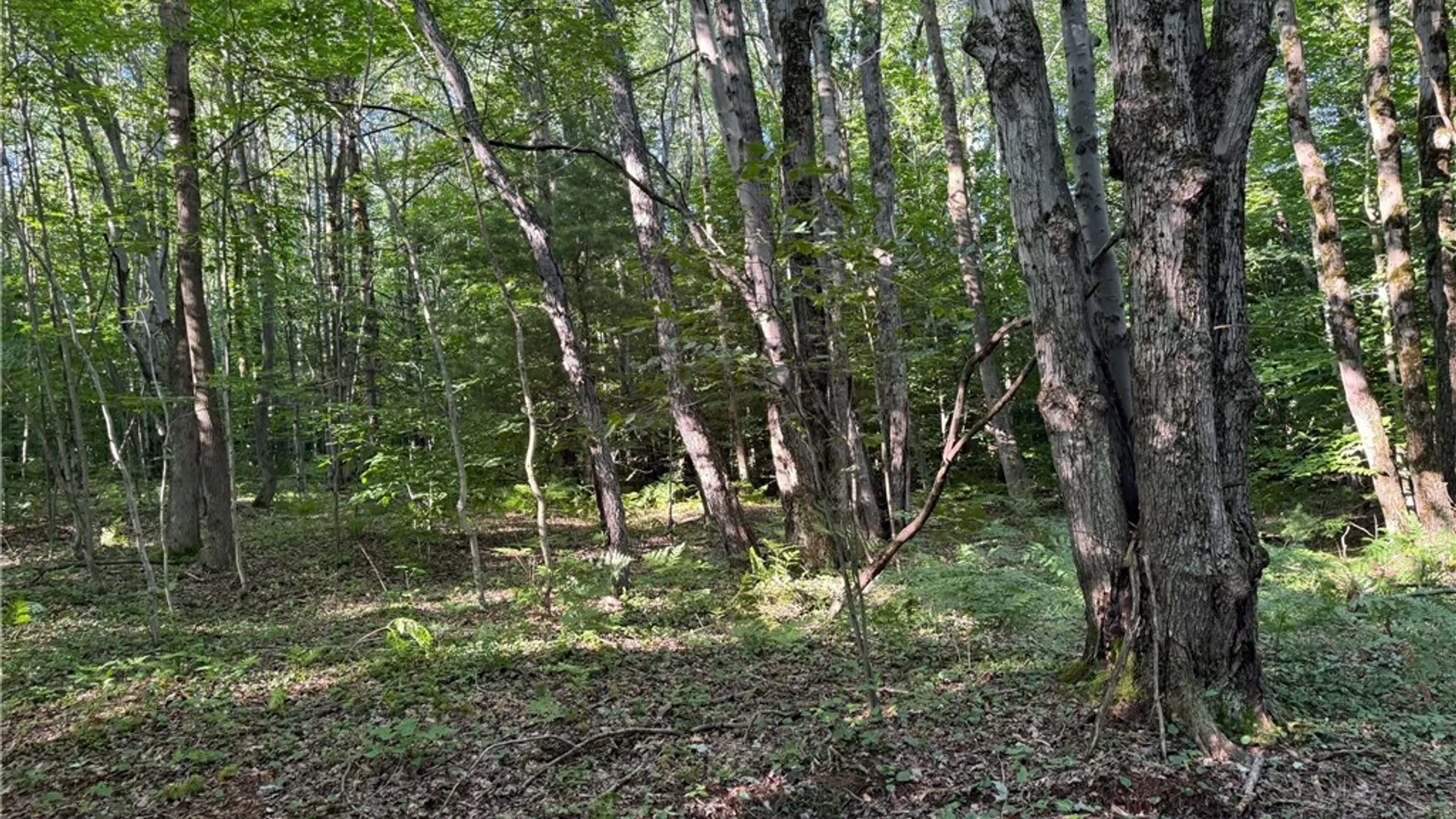 Property at 1214 State Route 80, Georgetown, NY 13072 41