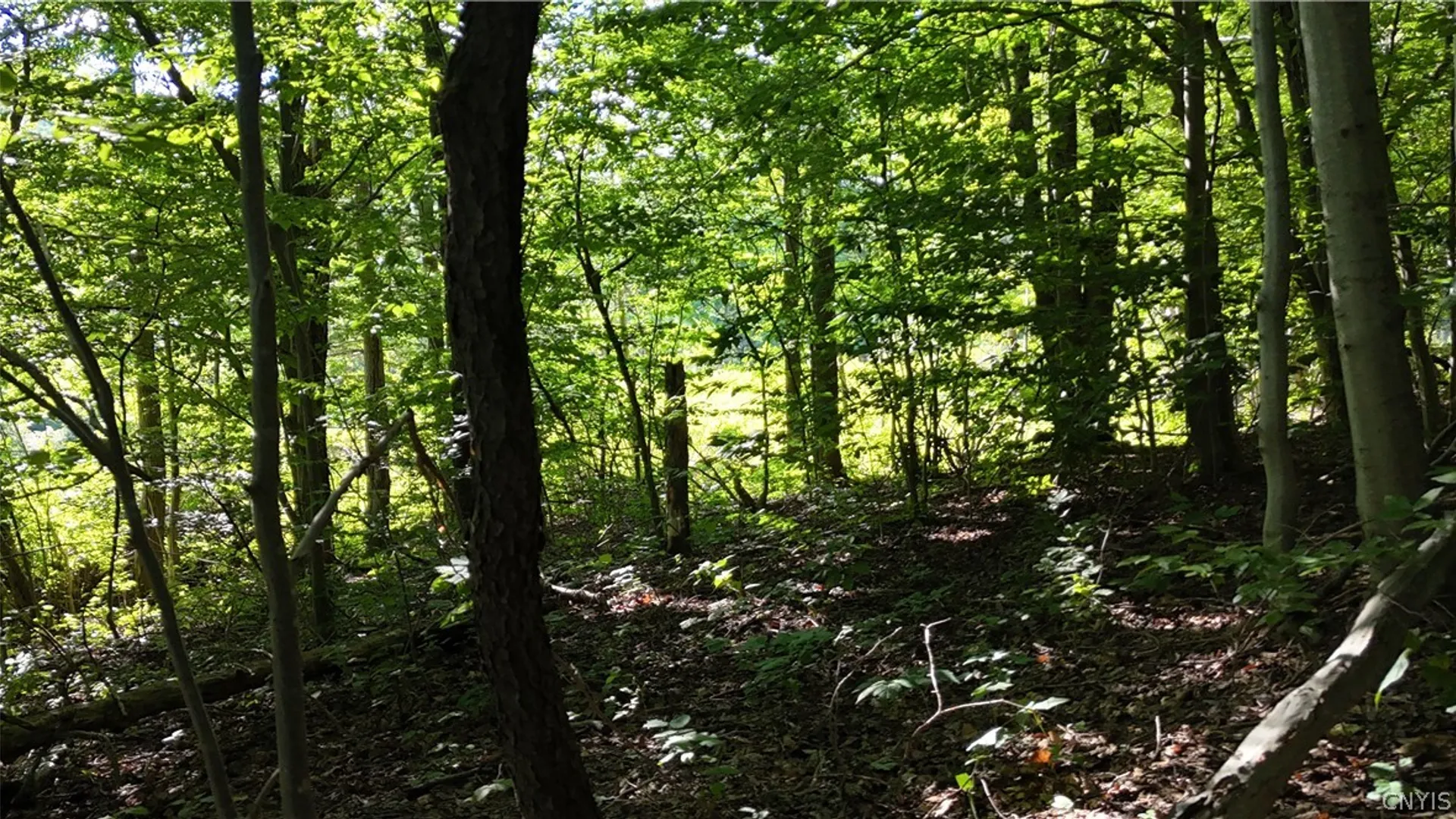 Property at 1214 State Route 80, Georgetown, NY 13072 10