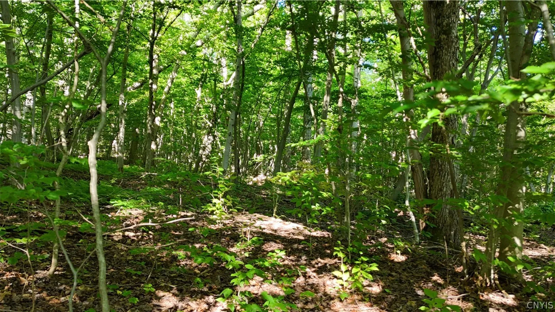 Property at 1214 State Route 80, Georgetown, NY 13072 11