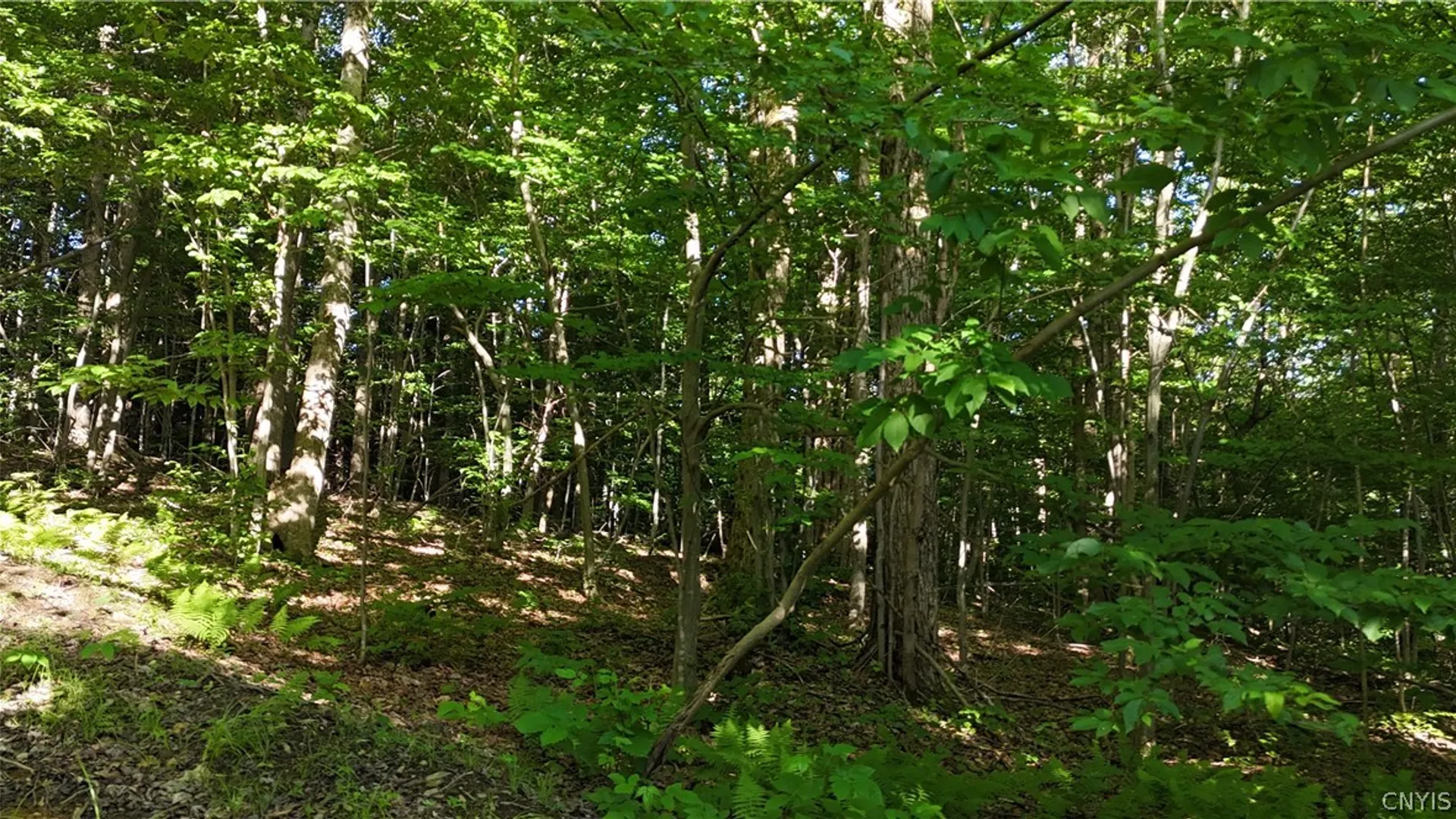 Property at 1214 State Route 80, Georgetown, NY 13072 12