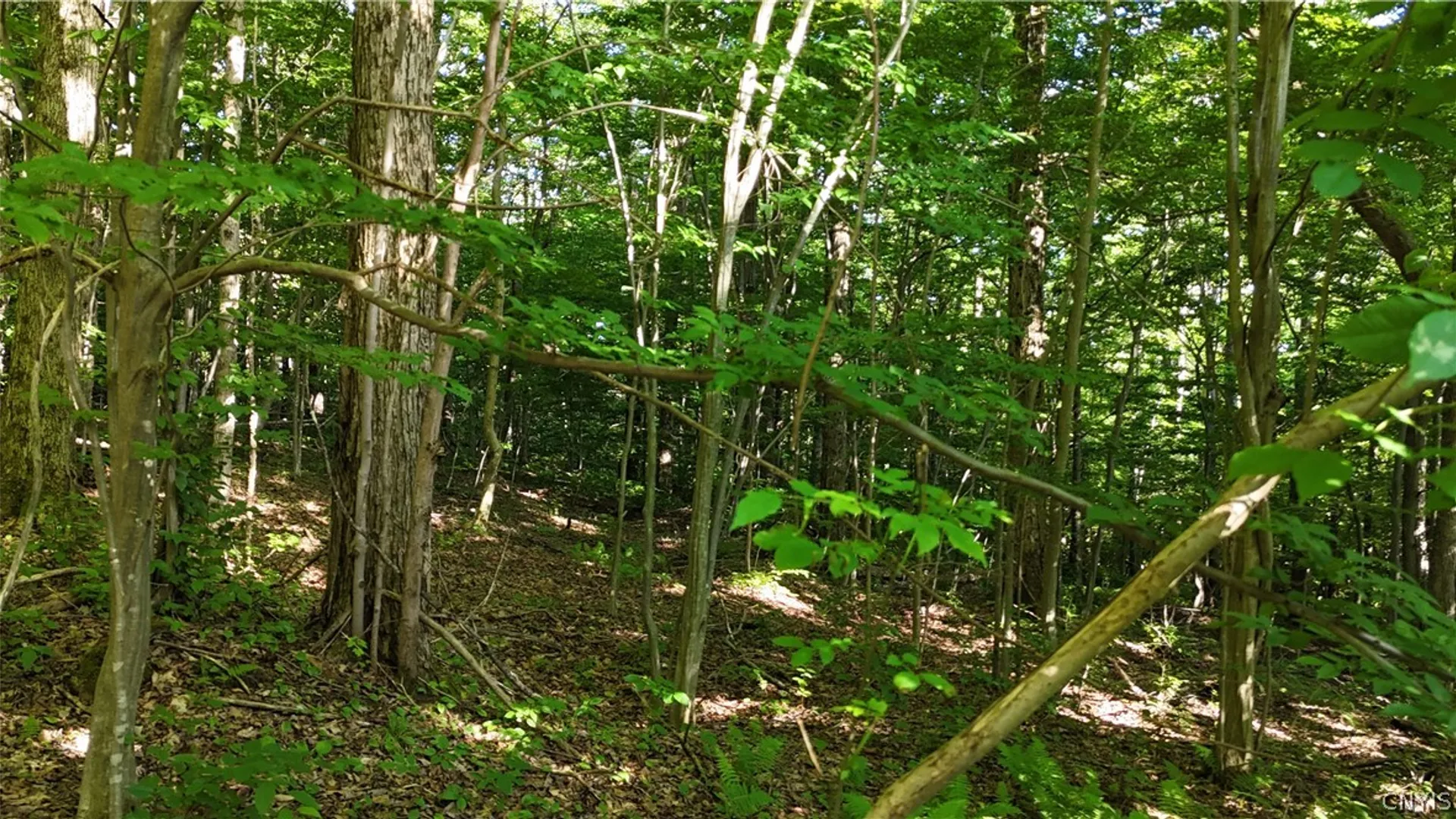 Property at 1214 State Route 80, Georgetown, NY 13072 13
