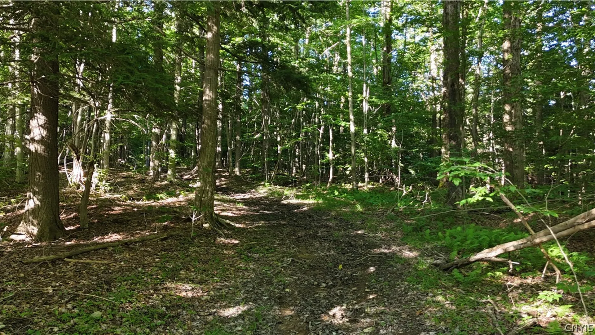 Property at 1214 State Route 80, Georgetown, NY 13072 14