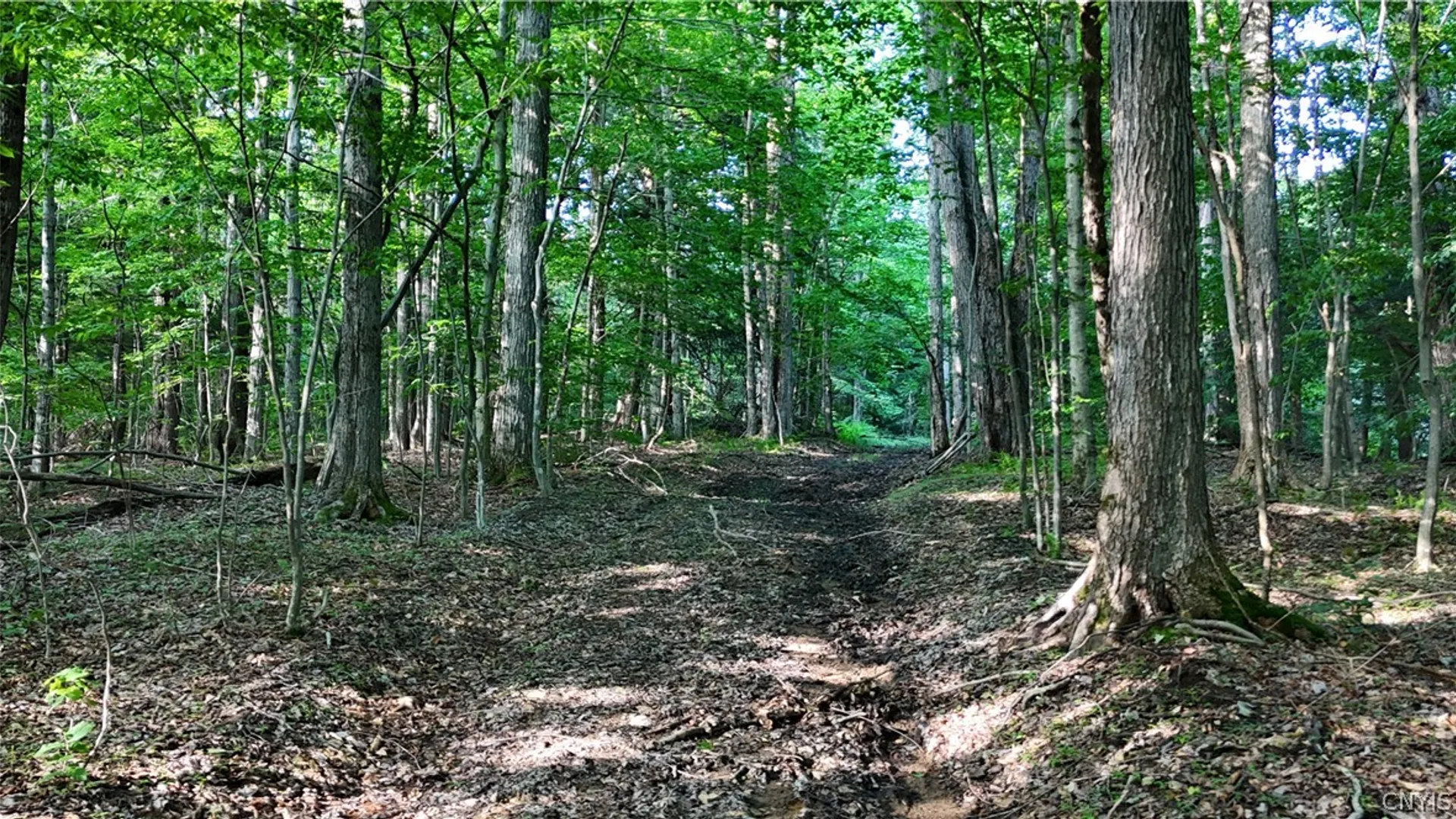 Property at 1214 State Route 80, Georgetown, NY 13072 15