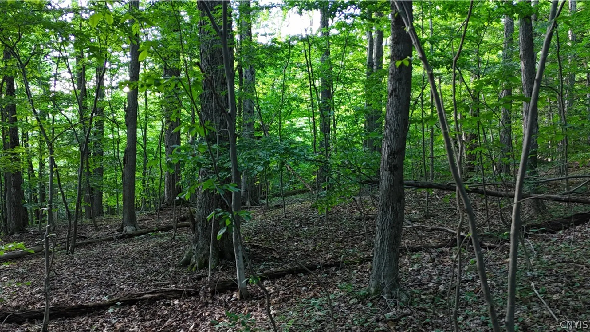 Property at 1214 State Route 80, Georgetown, NY 13072 16