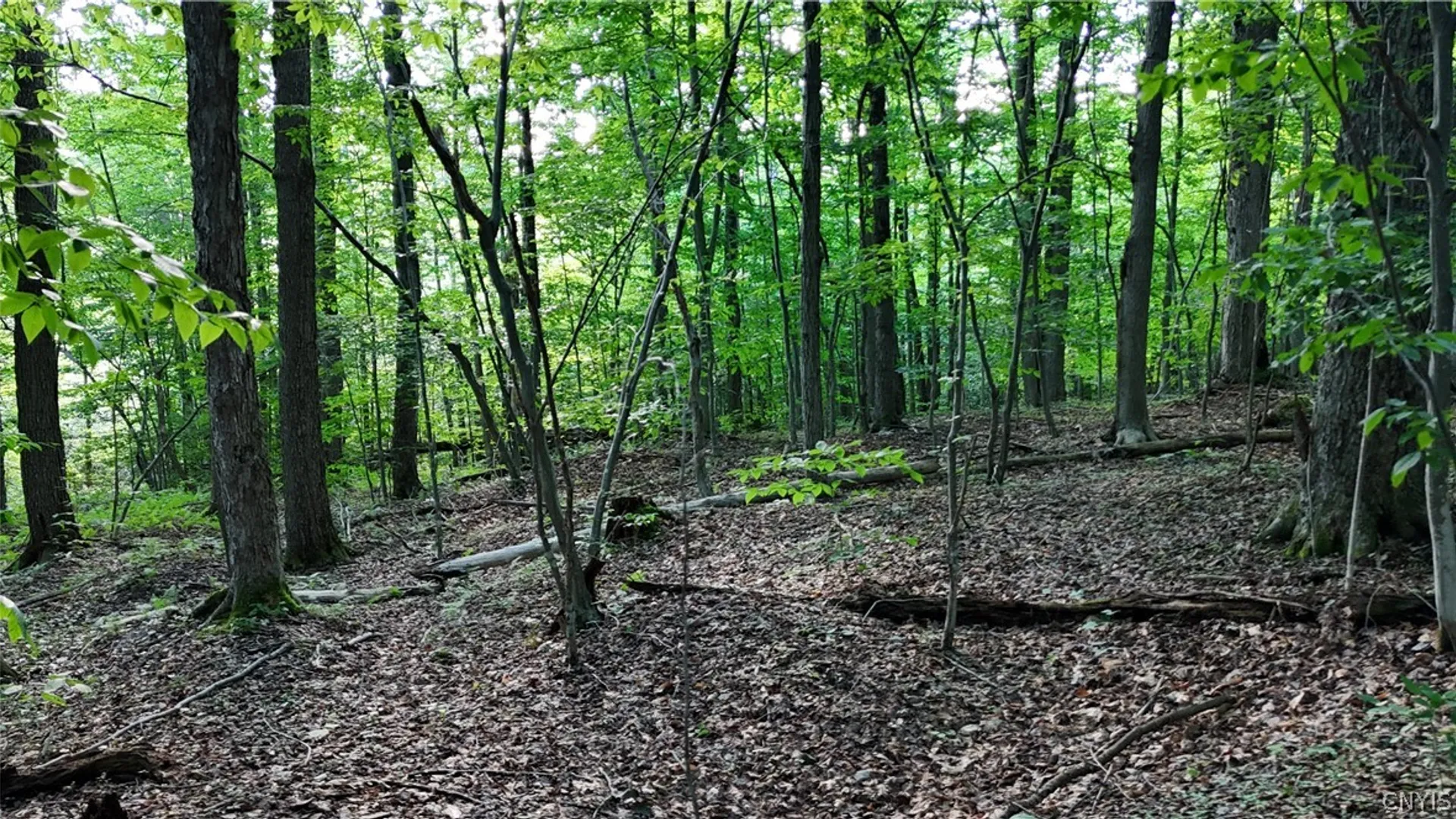 Property at 1214 State Route 80, Georgetown, NY 13072 17