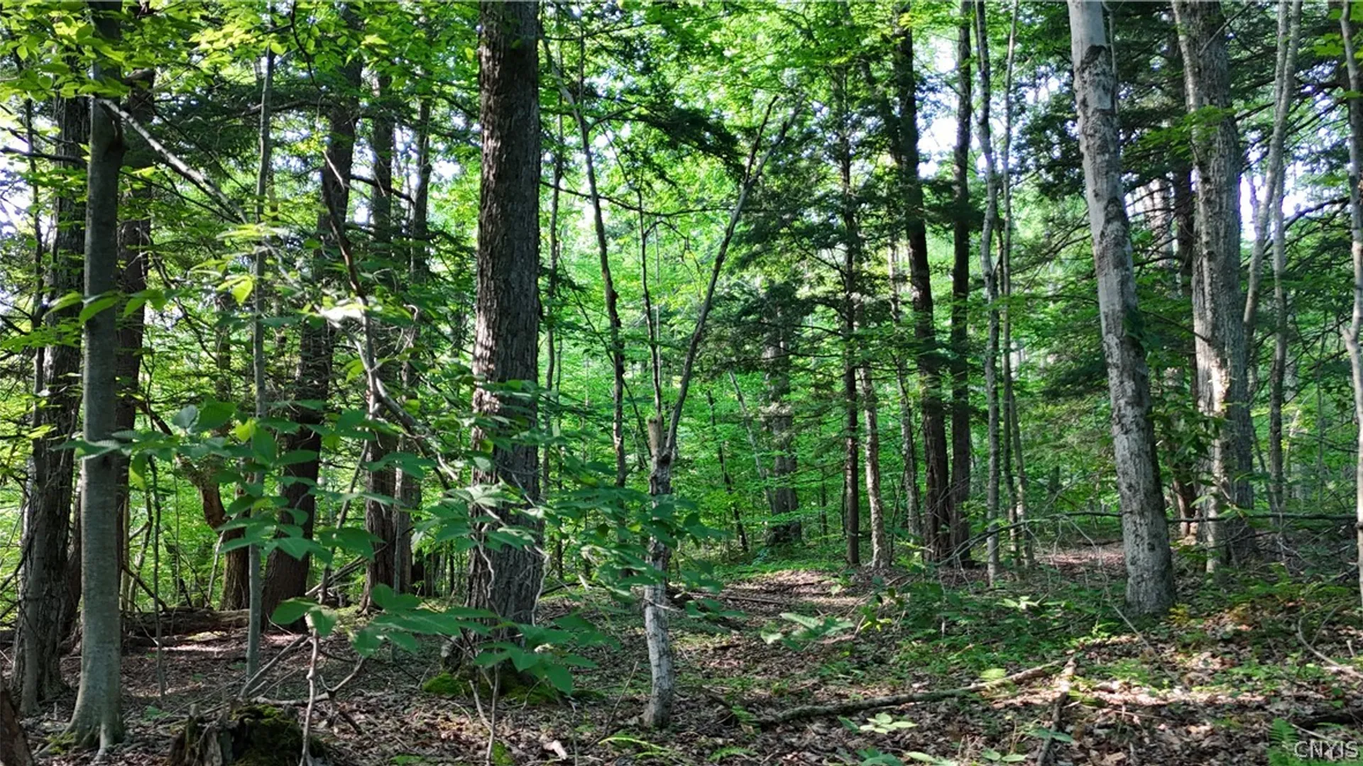 Property at 1214 State Route 80, Georgetown, NY 13072 18
