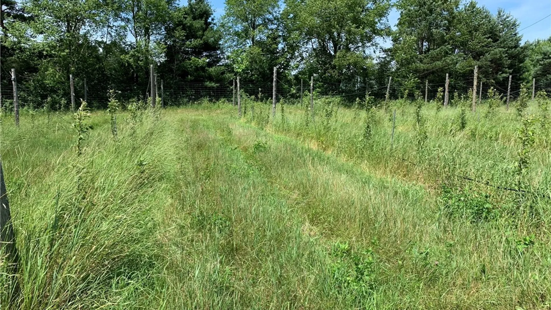 Property at 646 State Highway 3, Pitcairn, NY 13648 25