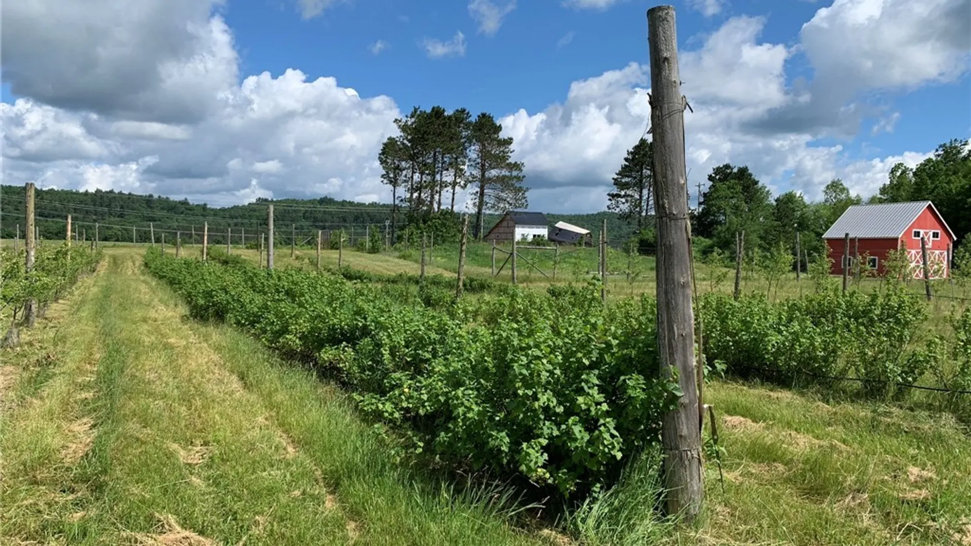 Property at 646 State Highway 3, Pitcairn, NY 13648 31