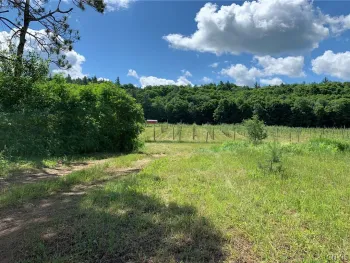 Property at 646 State Highway 3, Pitcairn, NY 13648