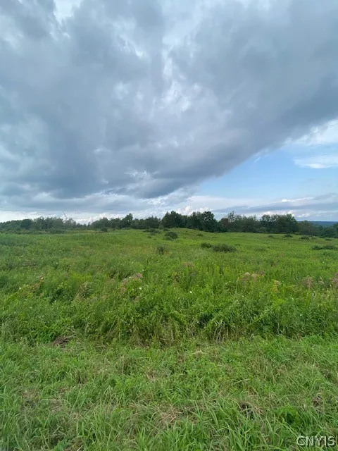 Property at 0 Rt-29, Fairfield, NY 13406