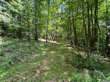 Property at 00 Monastery Road, Big Flats, NY 14814