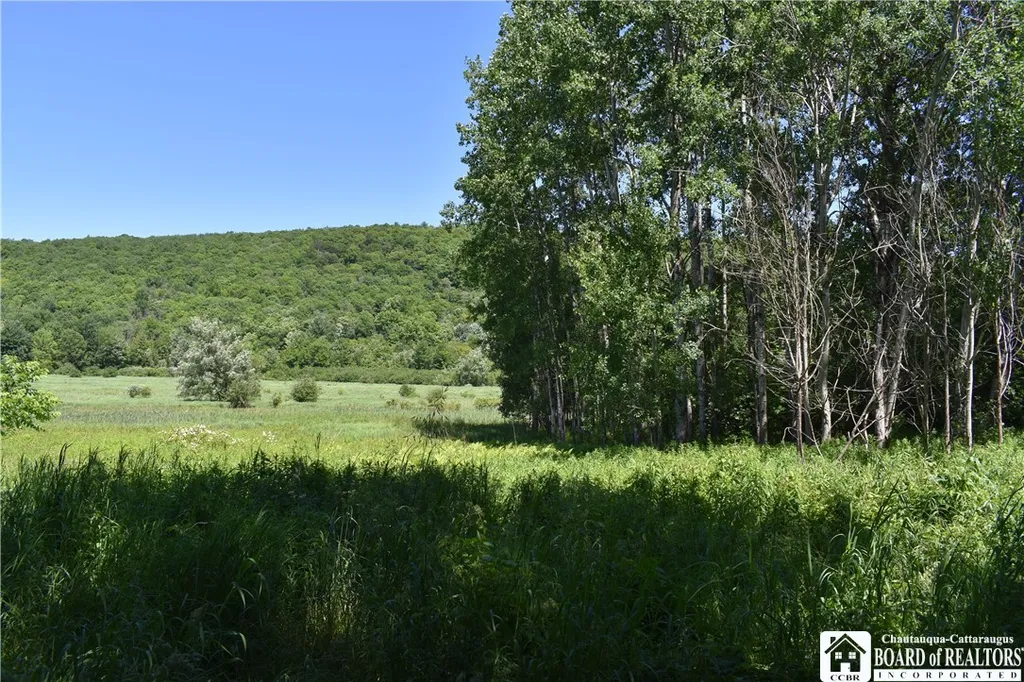 Property at 0 Farrington Hollow, Cherry Creek, NY 14723