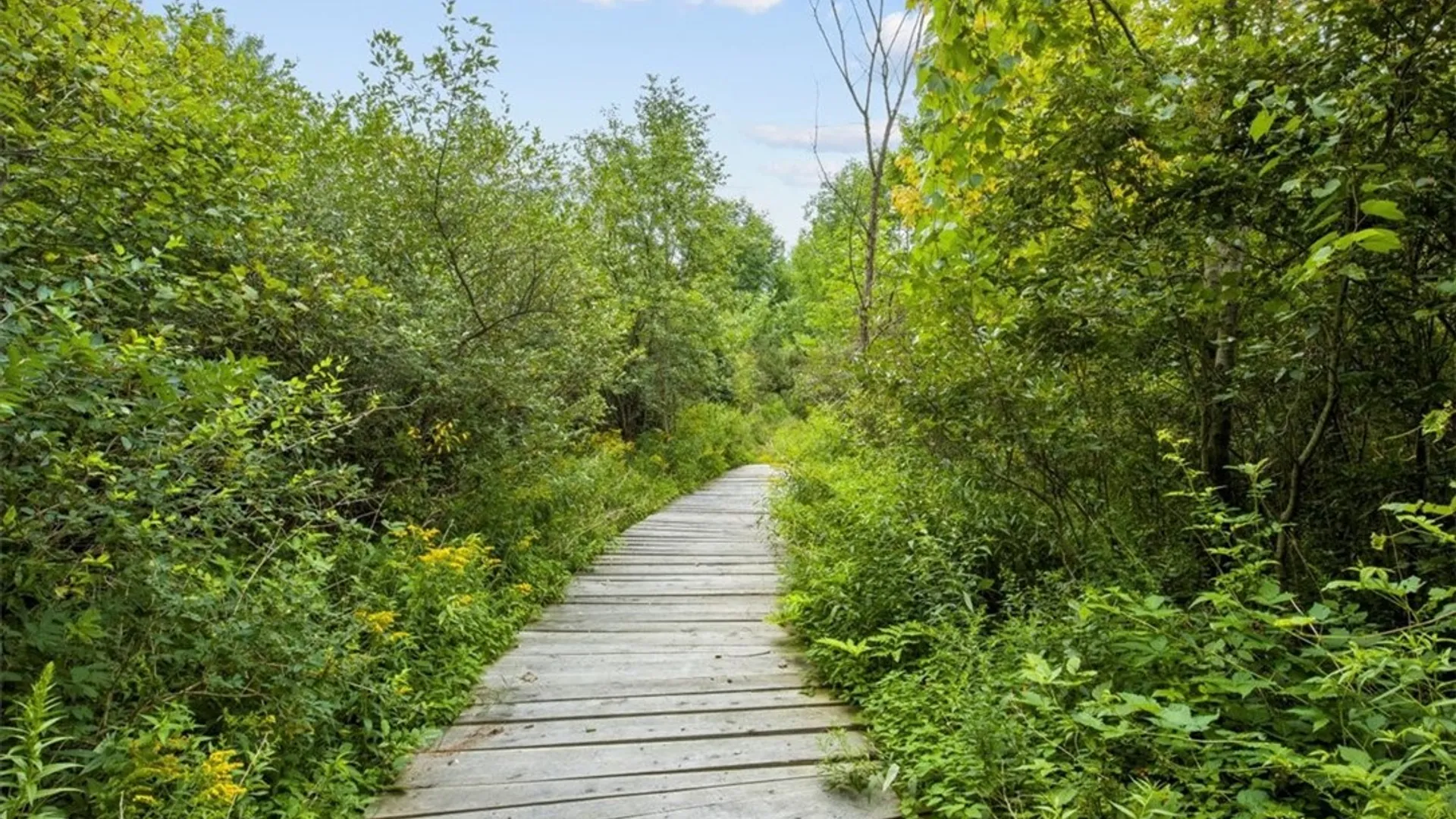 Property at 6709 Dugway Road, Conesus, NY 14435 29