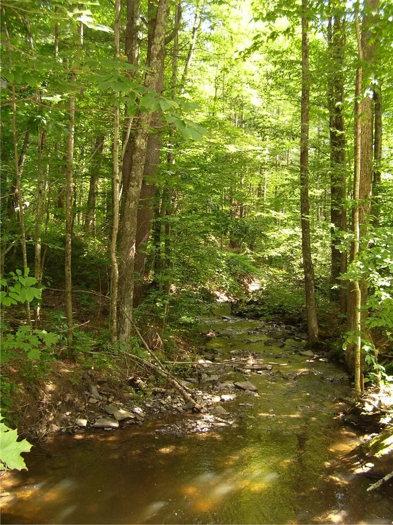 Property at 0 Robinson Road Extension, Guilford, NY 13780
