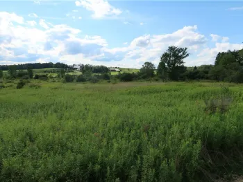 Property at Lot 2 German Road, Willet, NY 13863