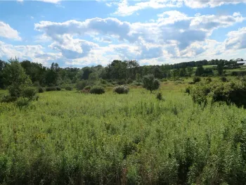 Property at Lot 3 German Road, Willet, NY 13863