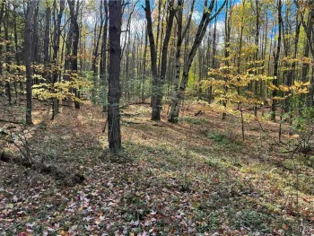 Property at 00 Wolf Creek Road, Clarksville, NY 14727