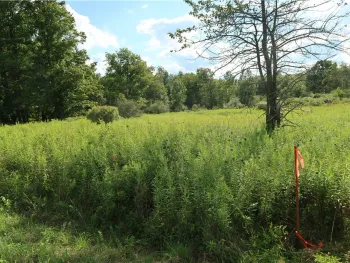 Property at Lot 4 German Road, Willet, NY 13863