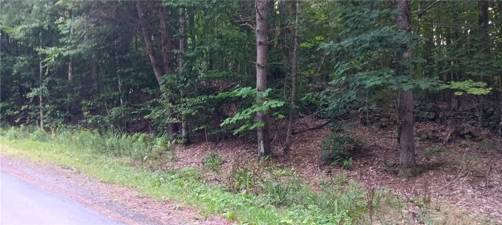 Property at 185 Eagle Mountain Road, Summit, NY 12175